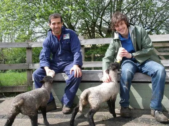 Swansea Community Farm