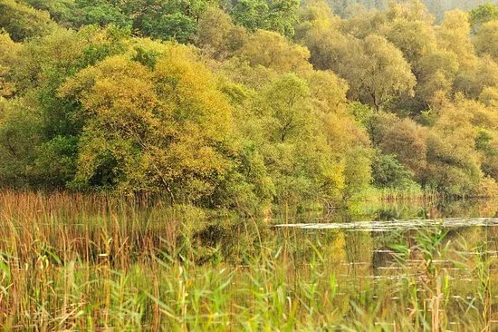 Taynish National Nature Reserve