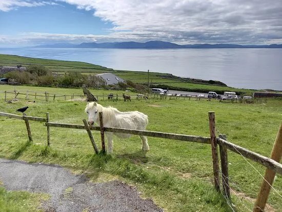 Leafy Green Tours Of Ireland