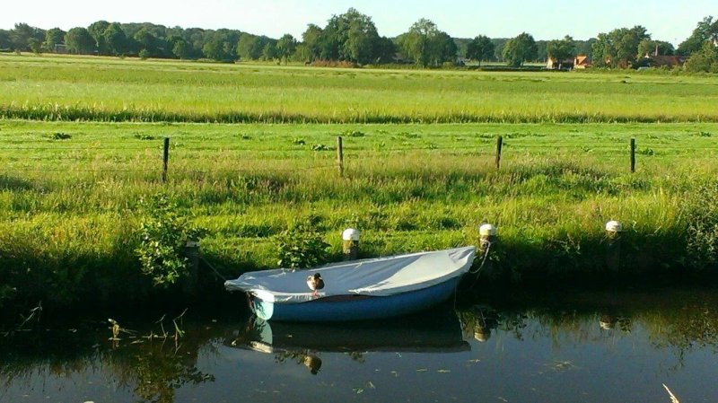 Bed & Breakfast Noordlaren