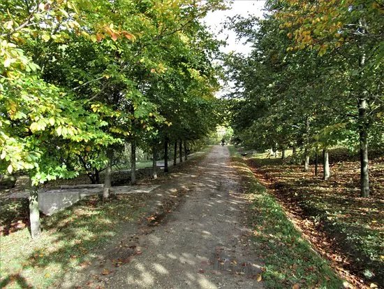 Parc Forestier du Bois de l'Etoile