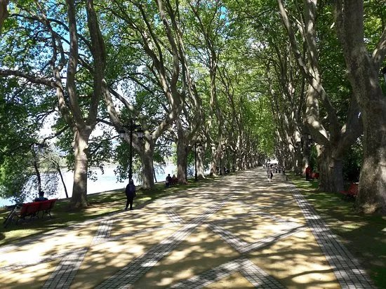 Avenida dos Plantanos