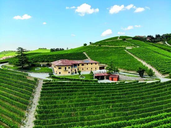 Costa di Bussia - Tenuta Arnulfo