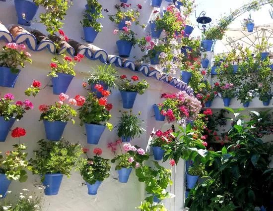 Los Patios de San Basilio