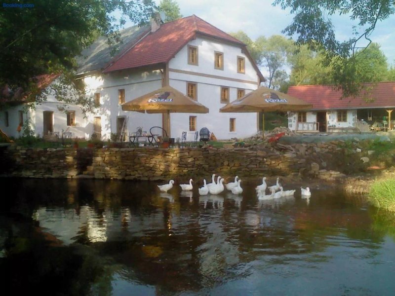 Farma Dolejsi Mlyn
