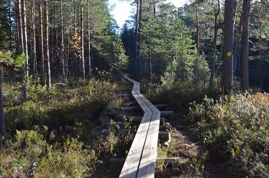 Southern Konnevesi National park