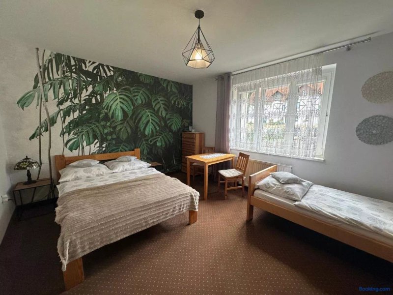 Szarotka Guest House