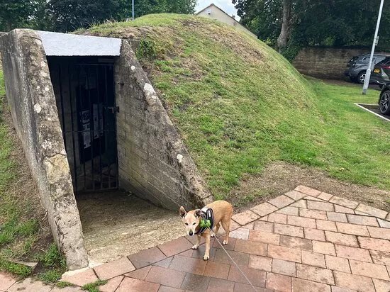Cirencester WWII Air Raid Shelter