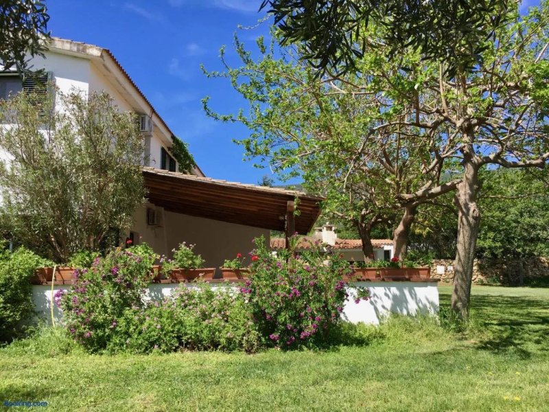 Agriturismo Asara