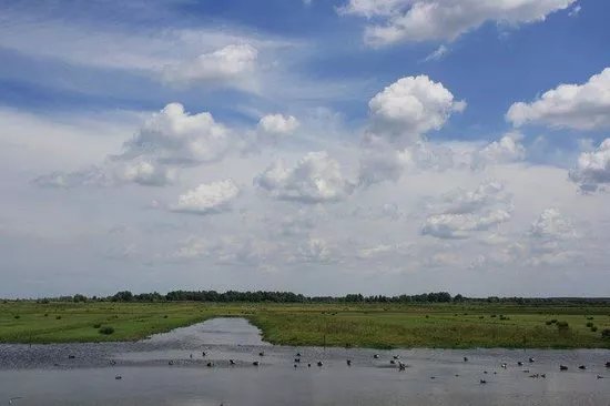 Oostvaardersplassen