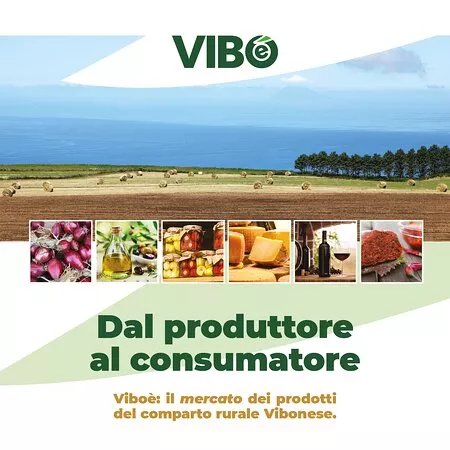 VIBOe
