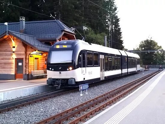 TRAIN VEVEY - LES PLEIADES