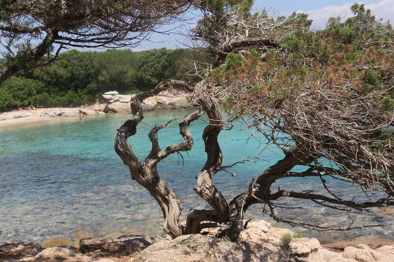 IN CASETTA DI A CARDICCIA