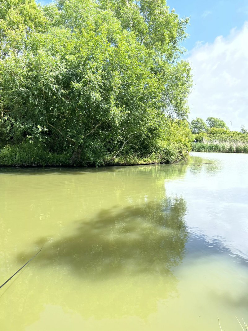 Back Arun Fishery