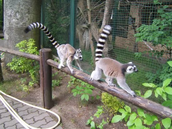 Zoo Eberswalde