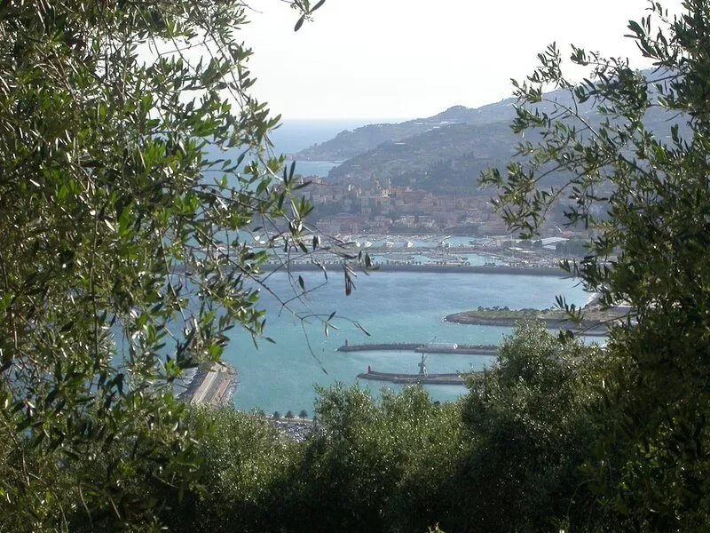 an island of peace with amazing sea wiew, among palms, pines, and olive trees