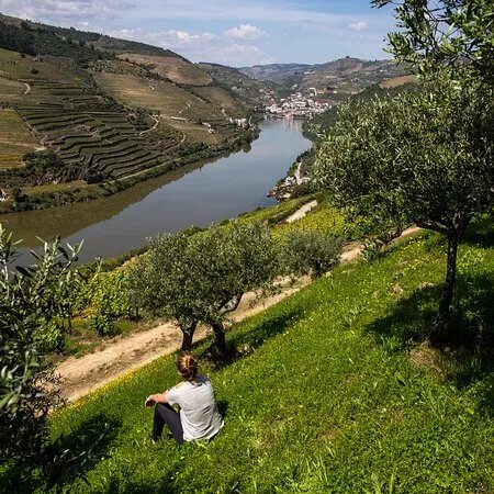 Enjoy Douro