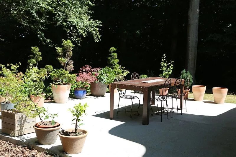 Cottage in a forest estate 15 min from the sea