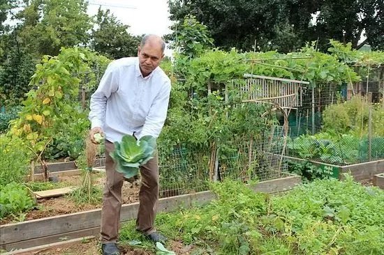Stepney City Farm