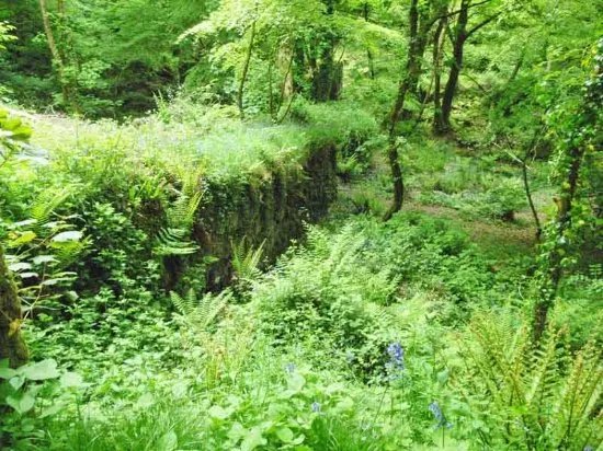Kennall Vale