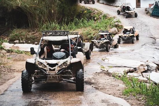 Marbella Buggys