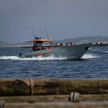 Viking Tours