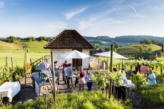Winery Schwarz