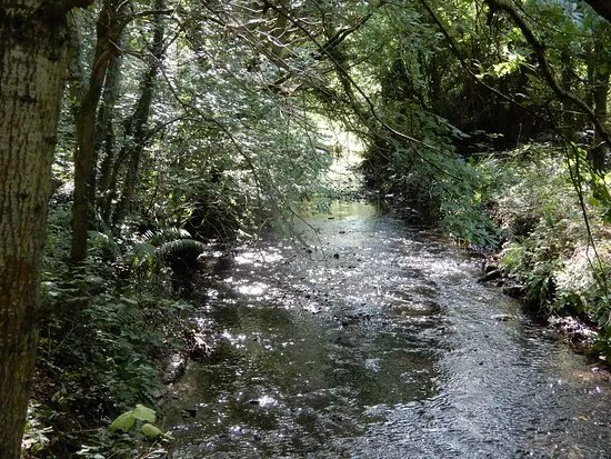 Rivacre Valley Nature Reserve