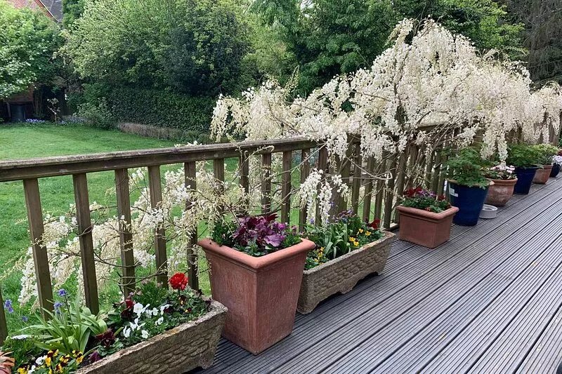 Hampstead haven - 2BR 2BA - private deck & 425sqm garden, gated parking