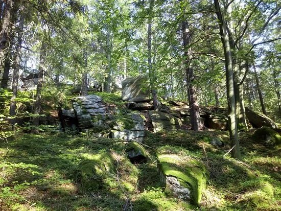 Zloty Widok Michalowice