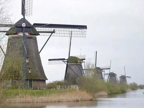 Boottocht Rotterdam - Kinderdijk