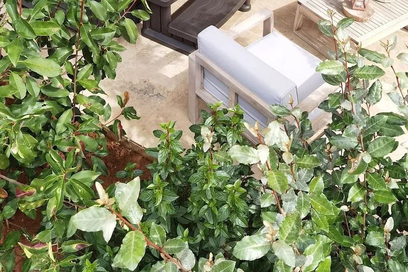 LOU MIYA - Gîte Périgourdin 5kms from SARLAT, Air-conditioned, Jacuzzi