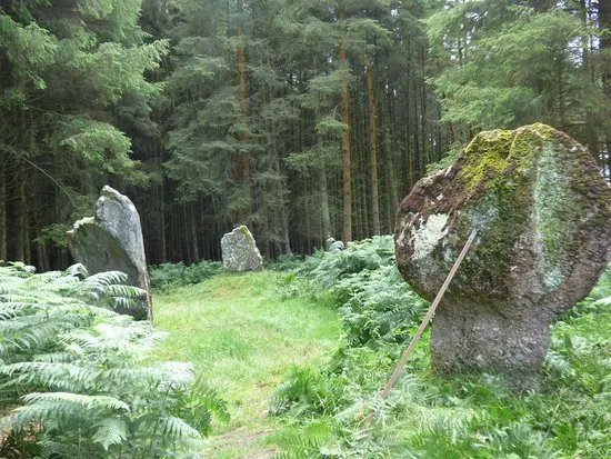 Kingarth Standing Stones