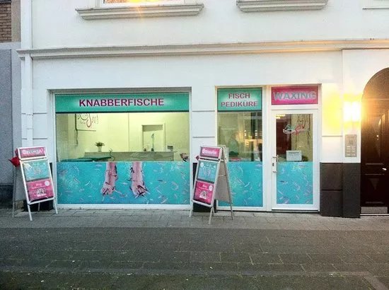 Marina Fish Spa & Waxing Koln (Knabberfische Pedikure)