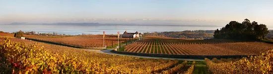Domaine de Chambleau
