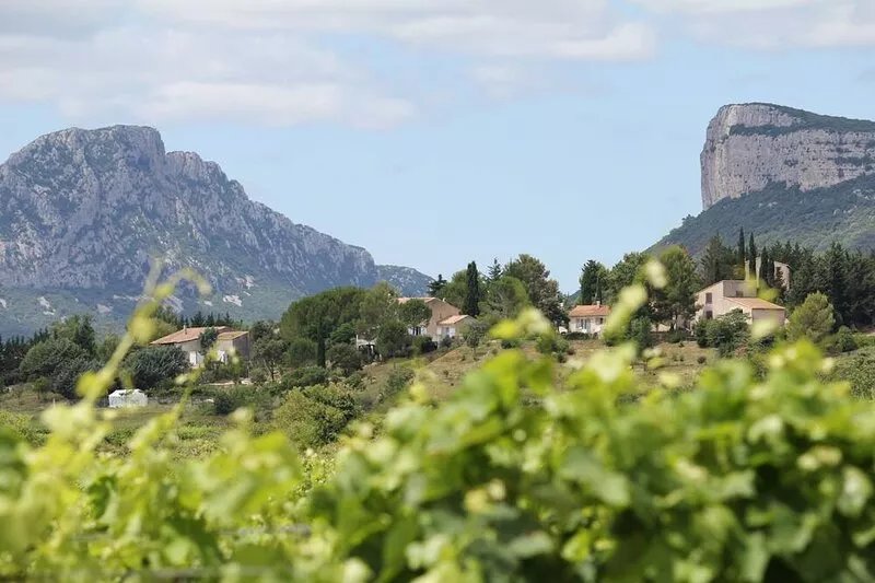 Spacious house with pool in Valflaunès 34270